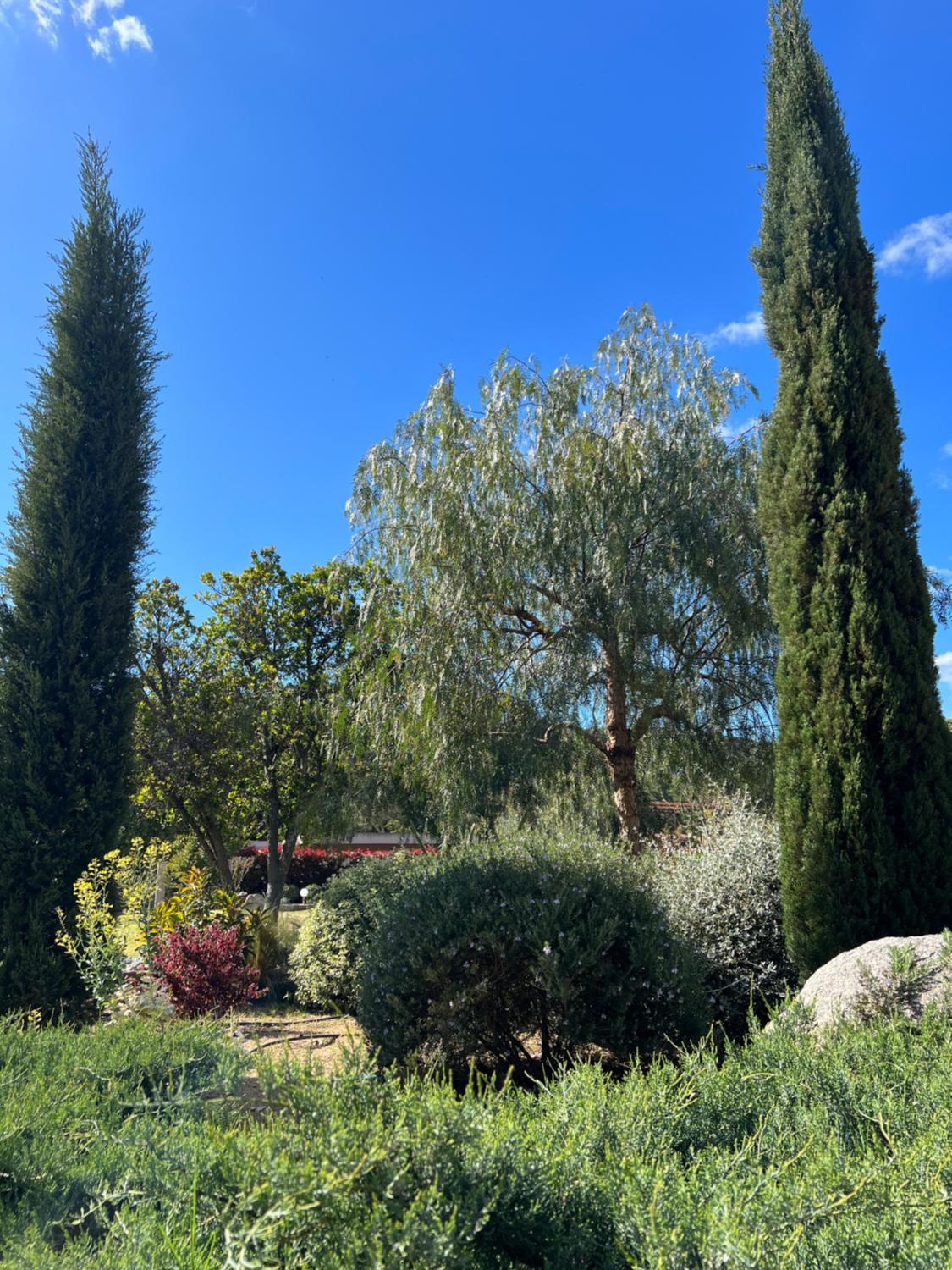 4, Hotel les jardins de Sta Giulia avec piscine, Corse-du-Sud