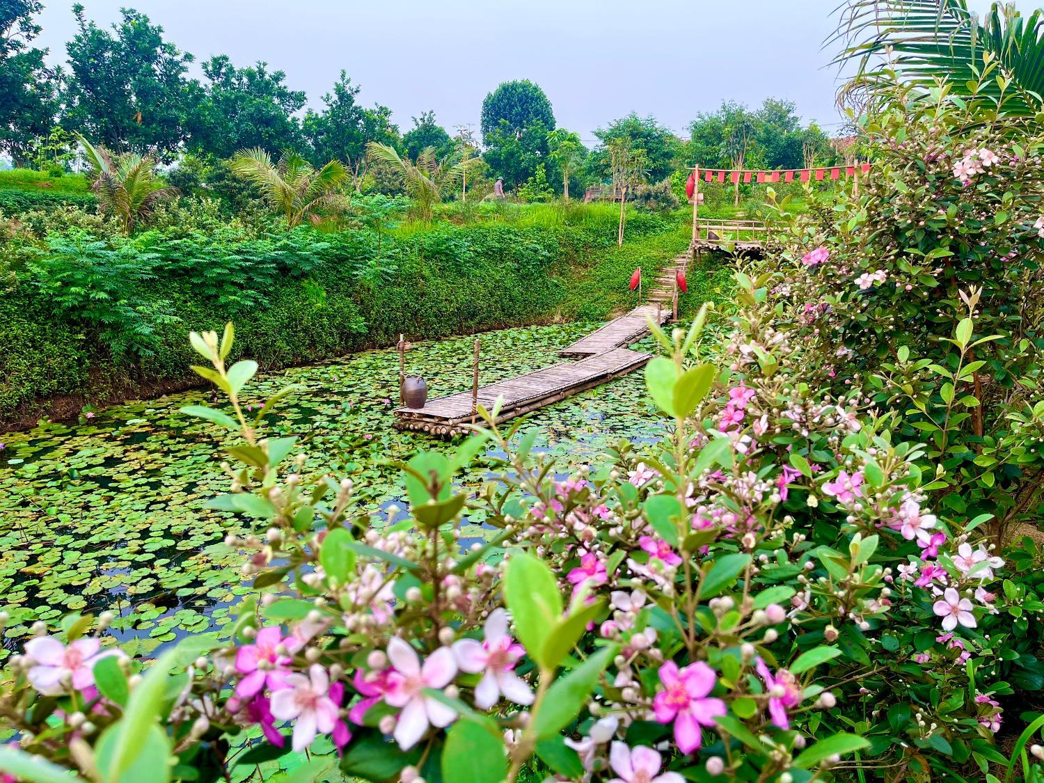 5, The Valleyyyy Farmstayyyy, Hữu Lũng