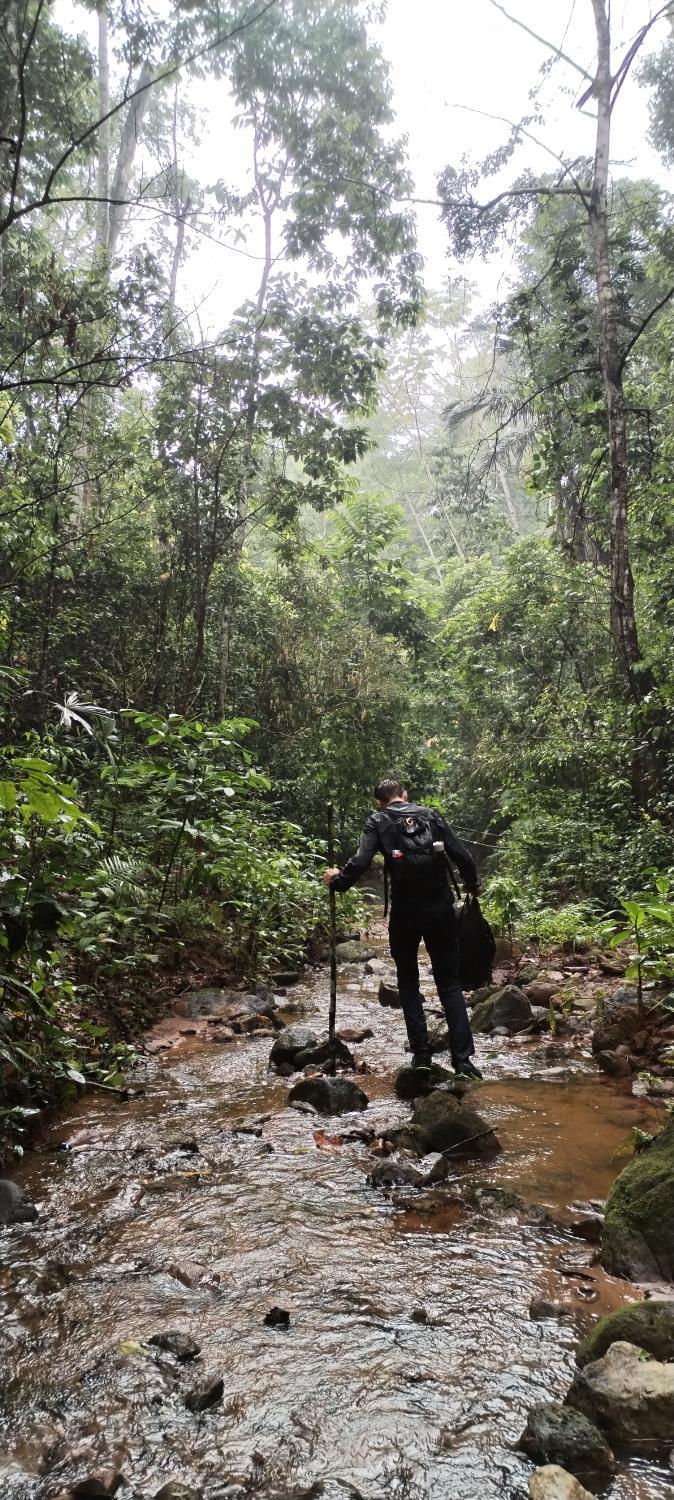 2, Mirador Jungle el Macuti, Abel Iturralde