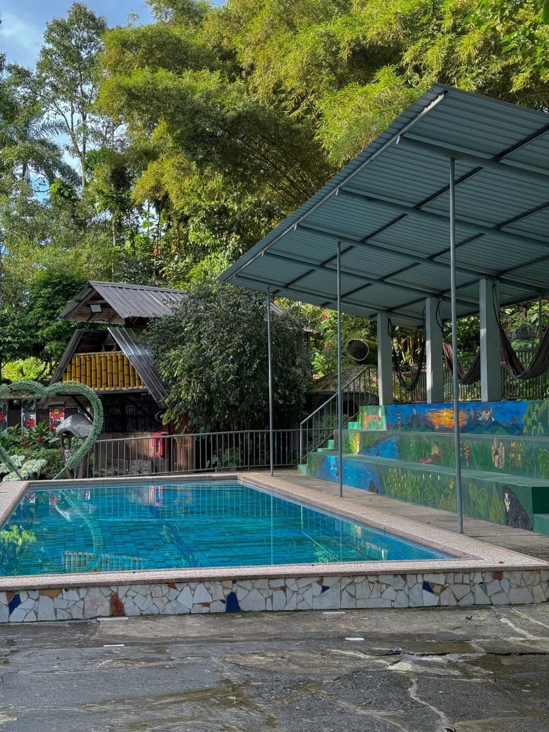 Swimming pool, La Casa del Arbol, Mera