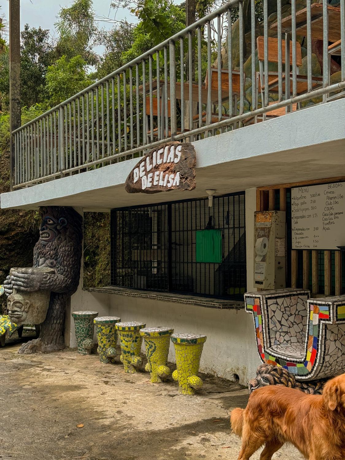 Bar/lounge, La Casa del Arbol, Mera