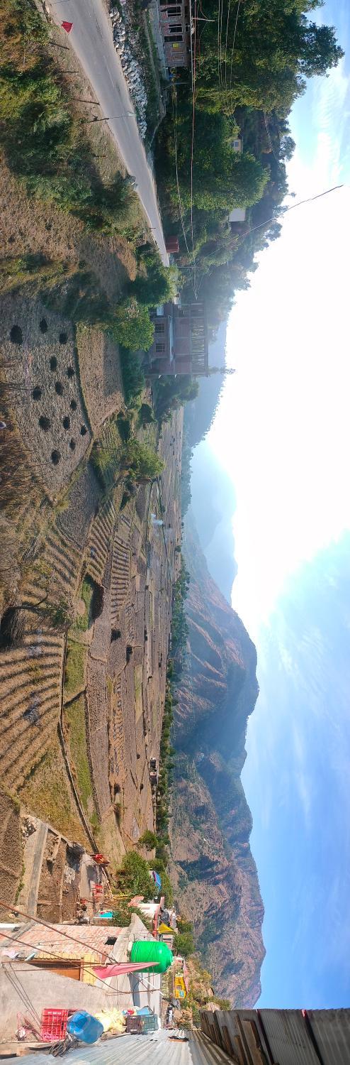 View