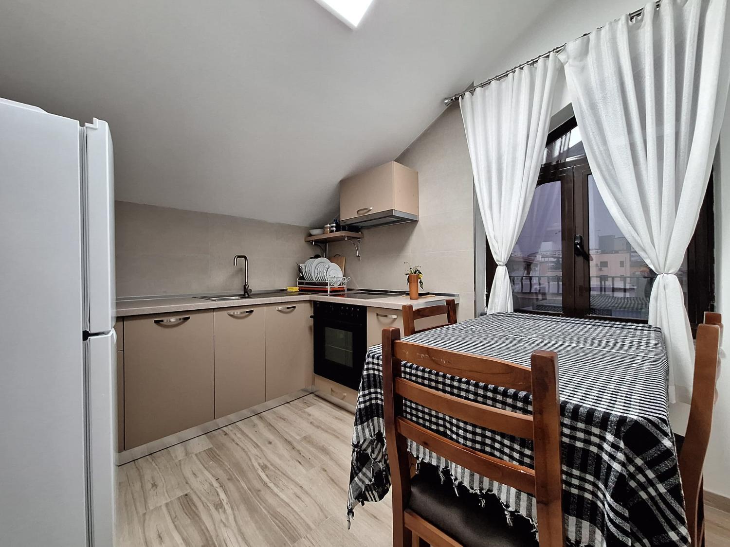 4, Ulliri i vjeter, Tiranës