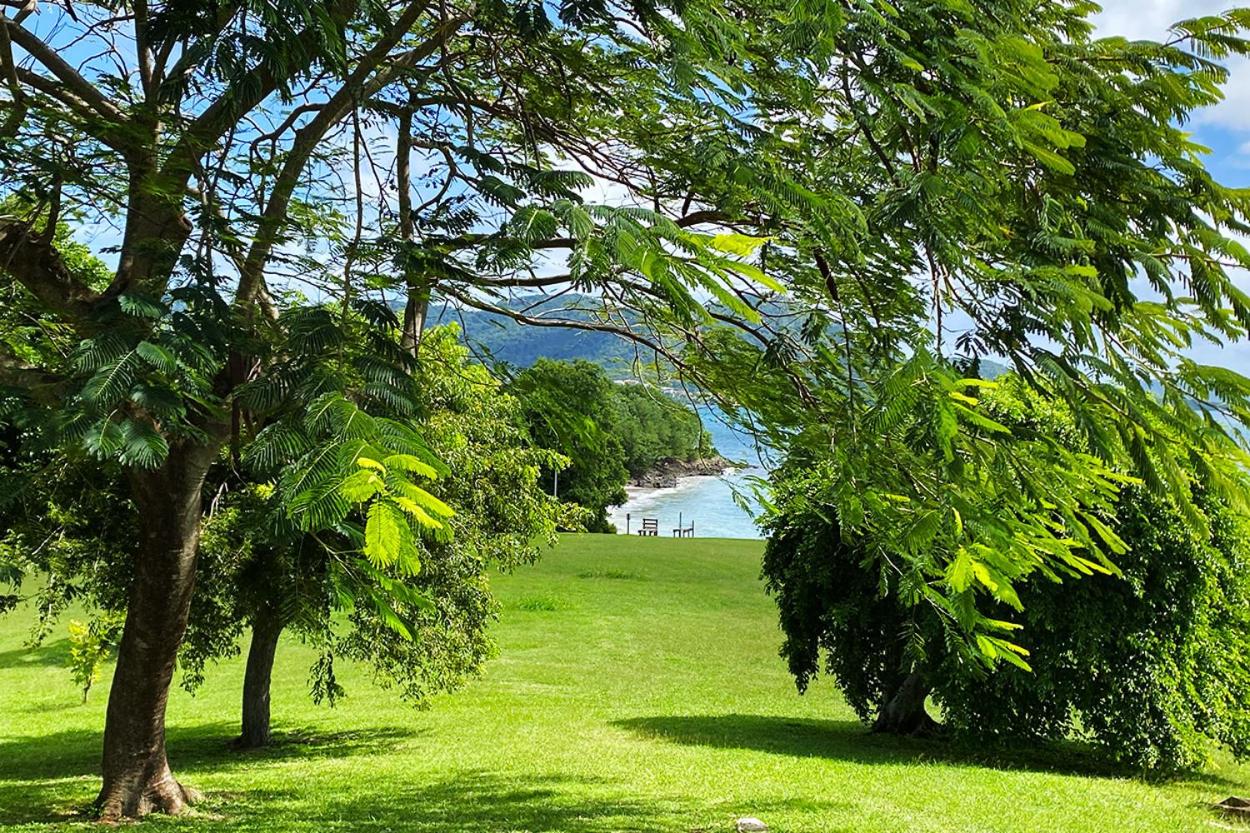 Garden, PIERRE ET VACANCES Ideal Calme et Confort 2 a 4 personnes, Basse-Pointe