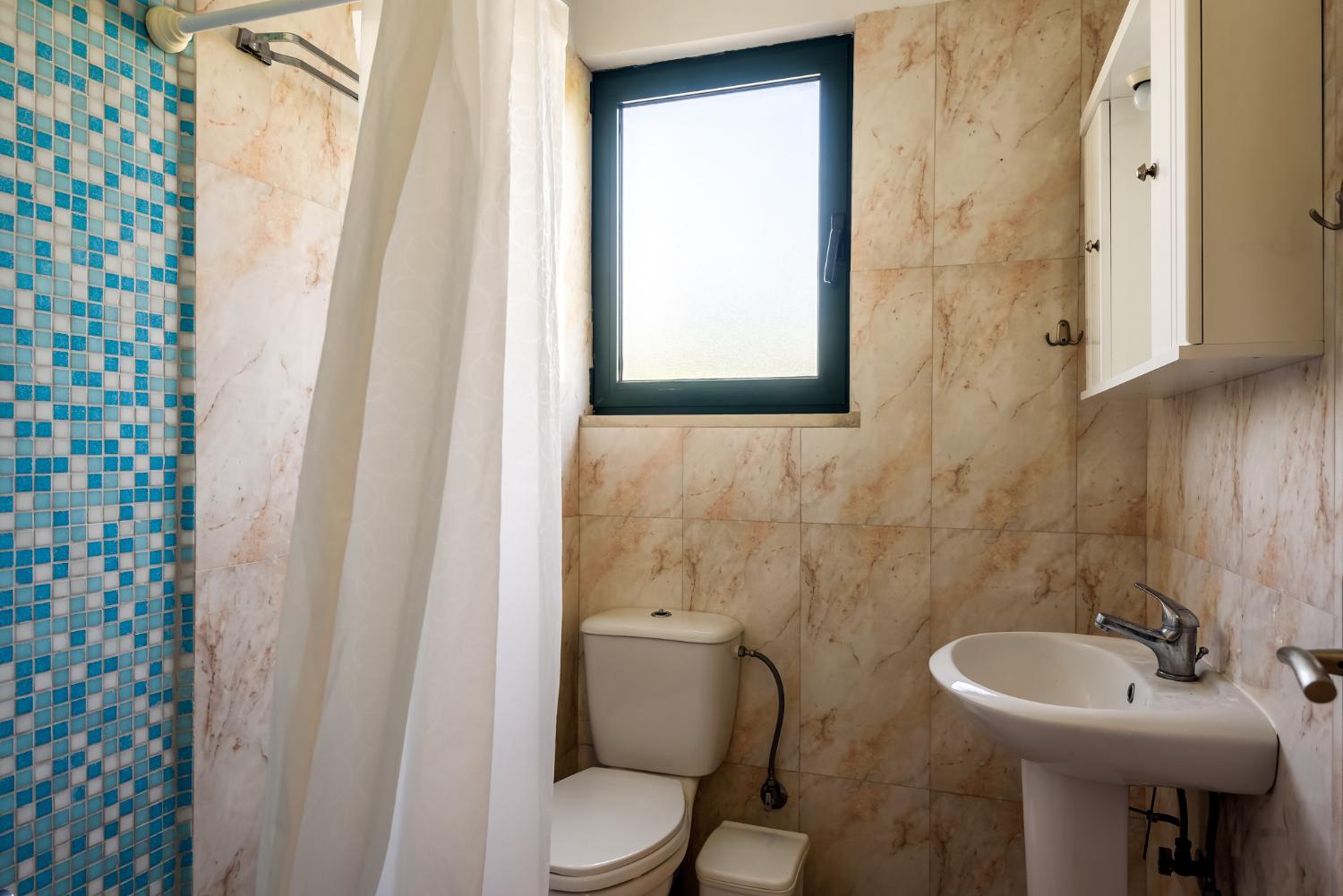 Bathroom 4, Farm villa complex in Gavalochori area NEW listing, Crete