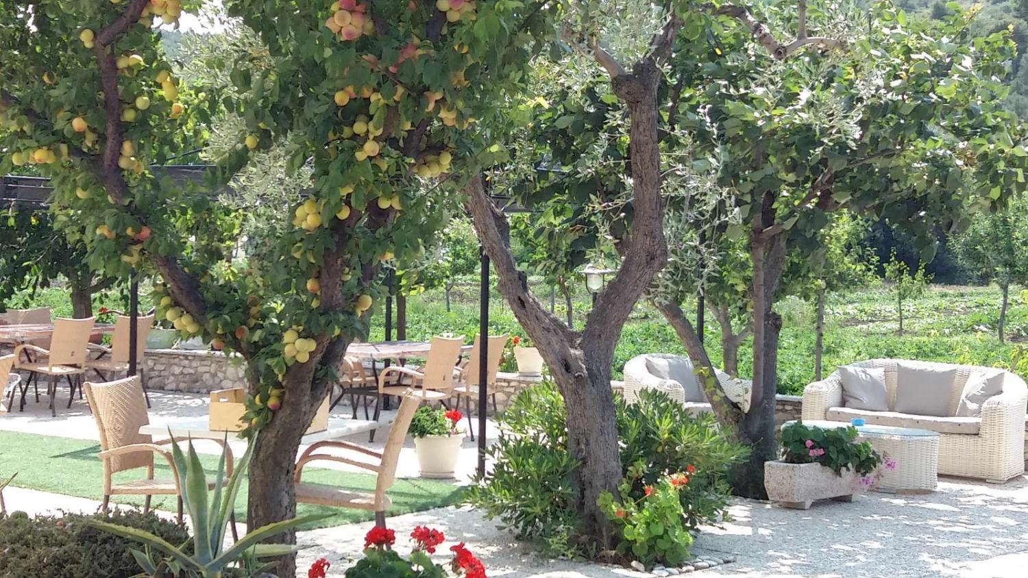 Garden 3, Il Gelso Bianco, Foggia