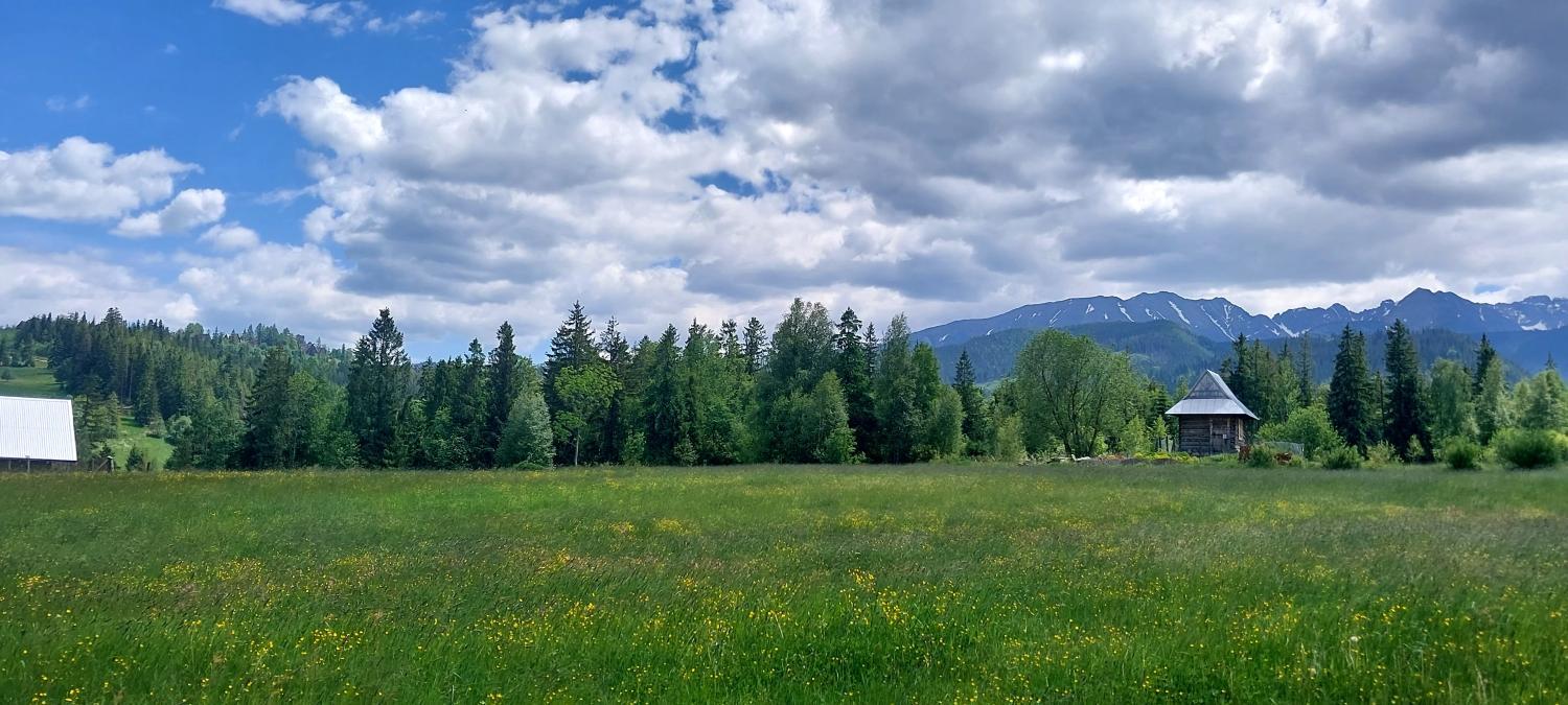 View 3, Pasieka - goralskie klimaty, Tatra