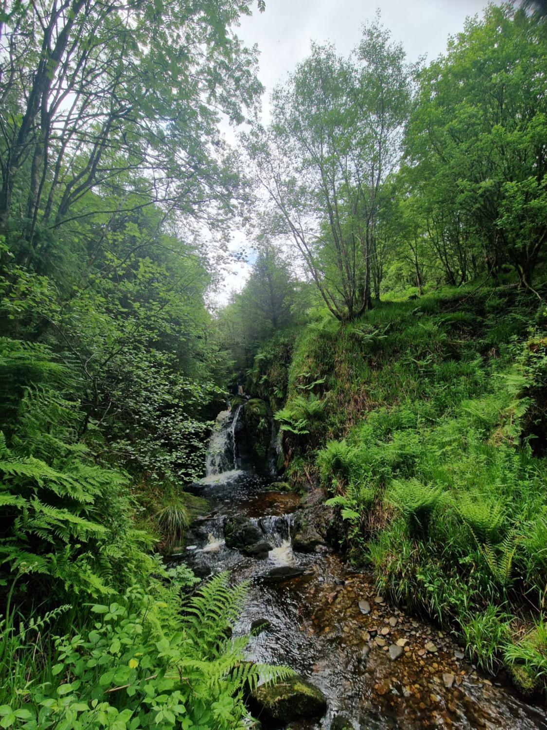 3, Erganagh B&B, Fermanagh and Omagh