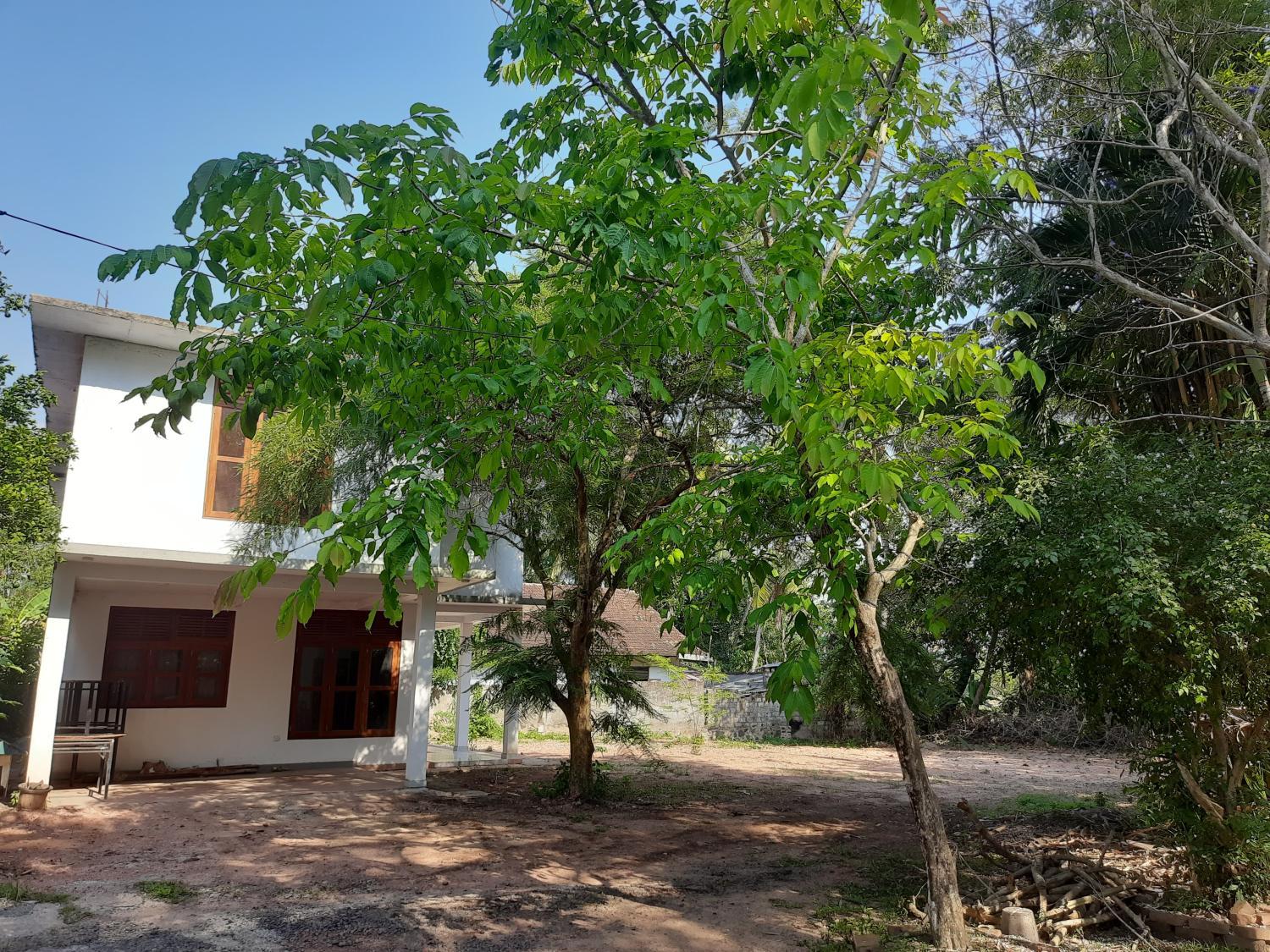 5, Field view, Minuwangoda