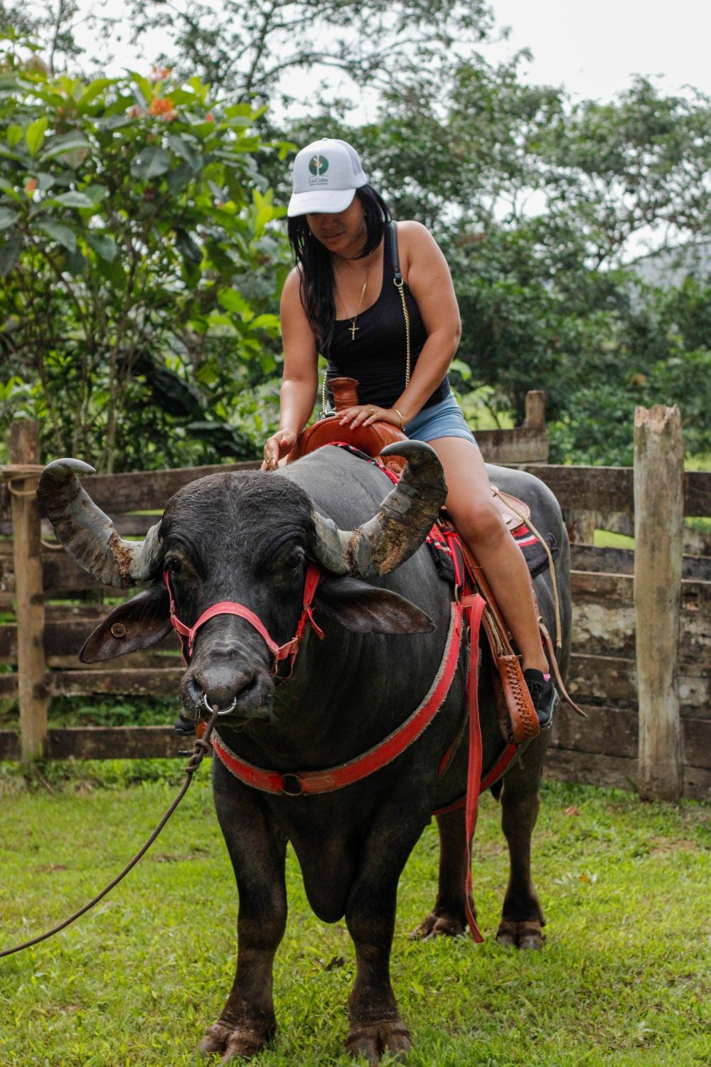 Sports and activities 4, Hotel la Ceiba, Aguadulce