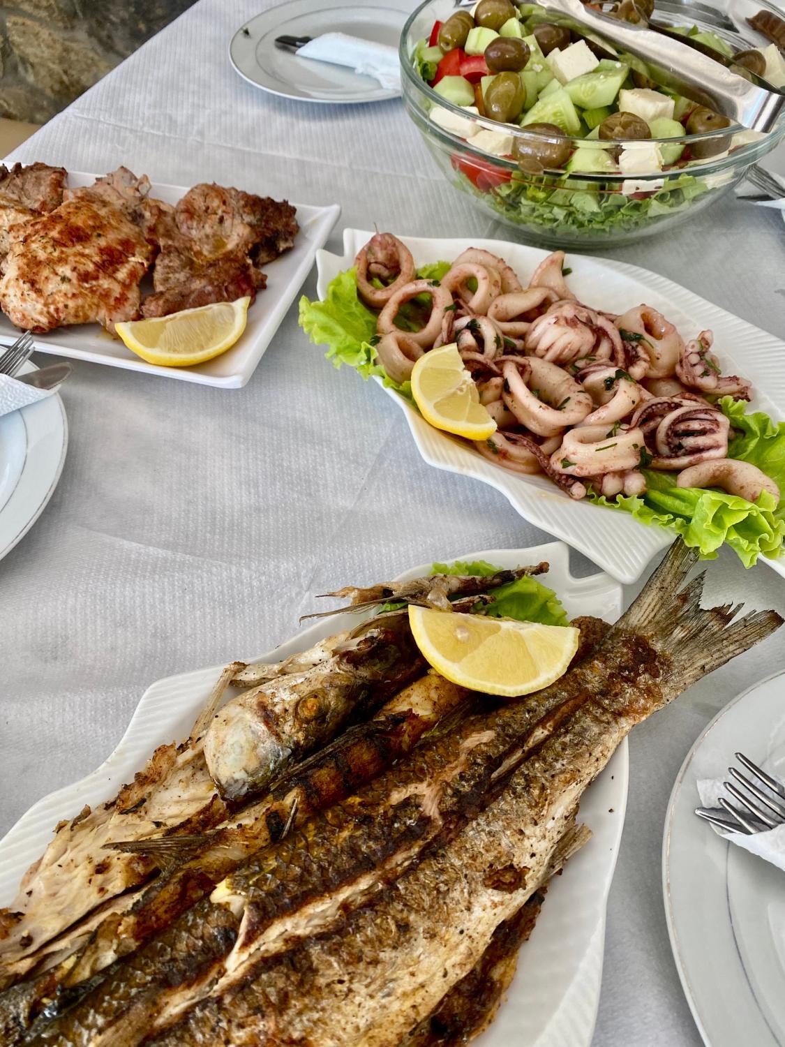 4, Tarzani Apartments & Restaurant, Shkodrës