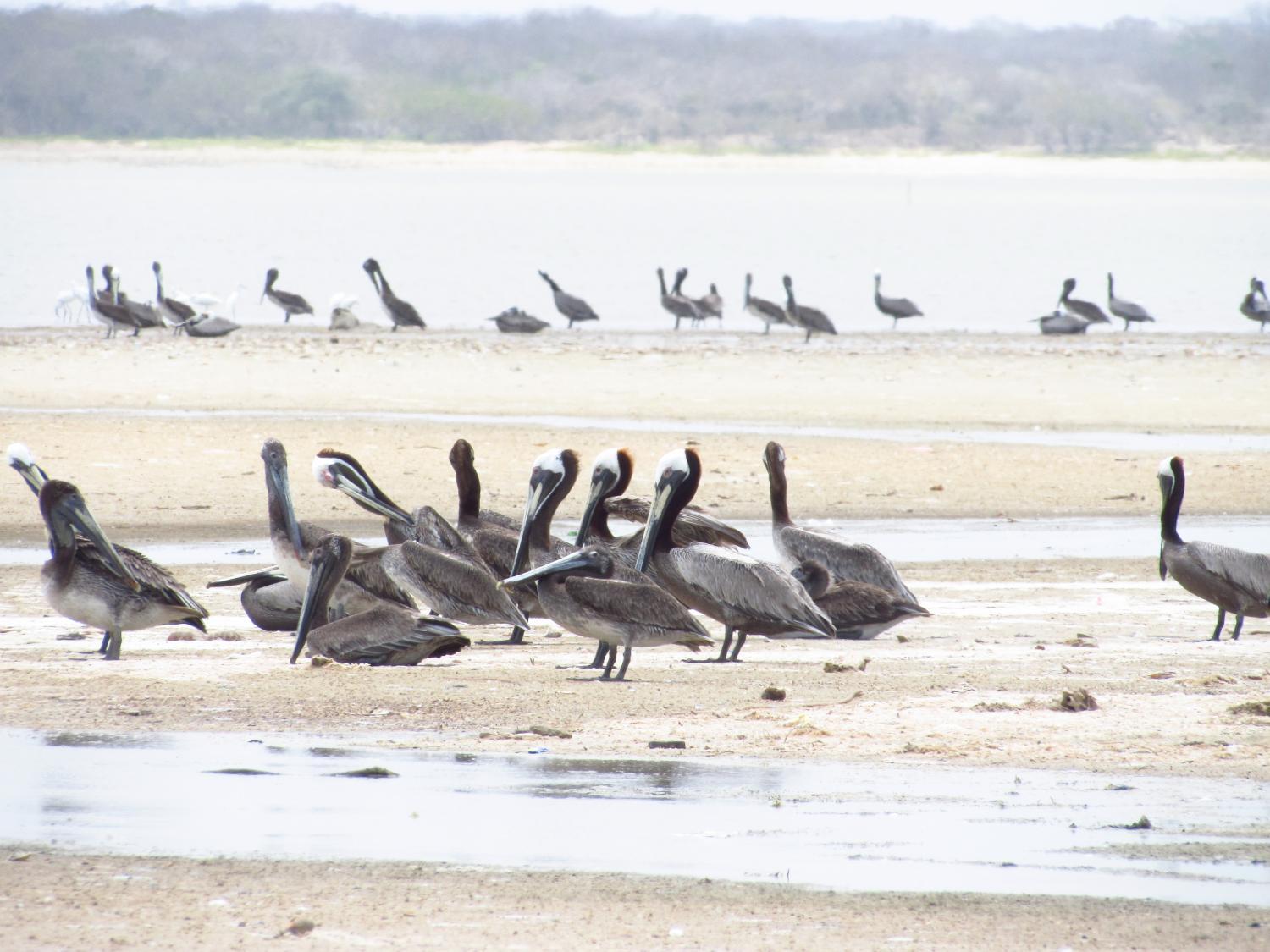 5, Rancherias wayuu, Riohacha
