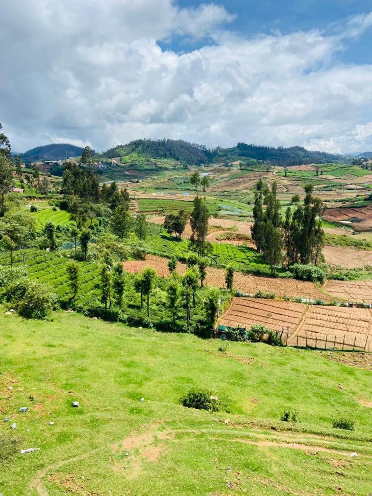 4, Greenish Mist Mountain, The Nilgiris