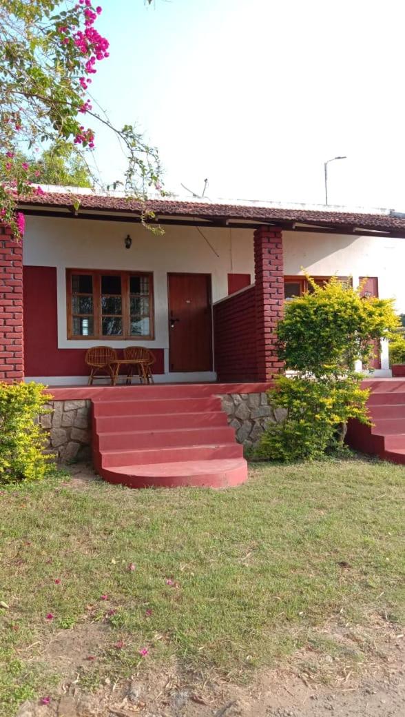 3, Asghar Bed & Breakfast Masinagudi near Mudumalai Tiger Reserve, The Nilgiris
