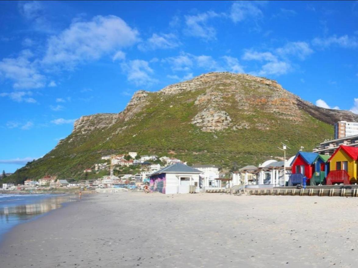 Surrounding environment 4, The Little Big Green House, City of Cape Town