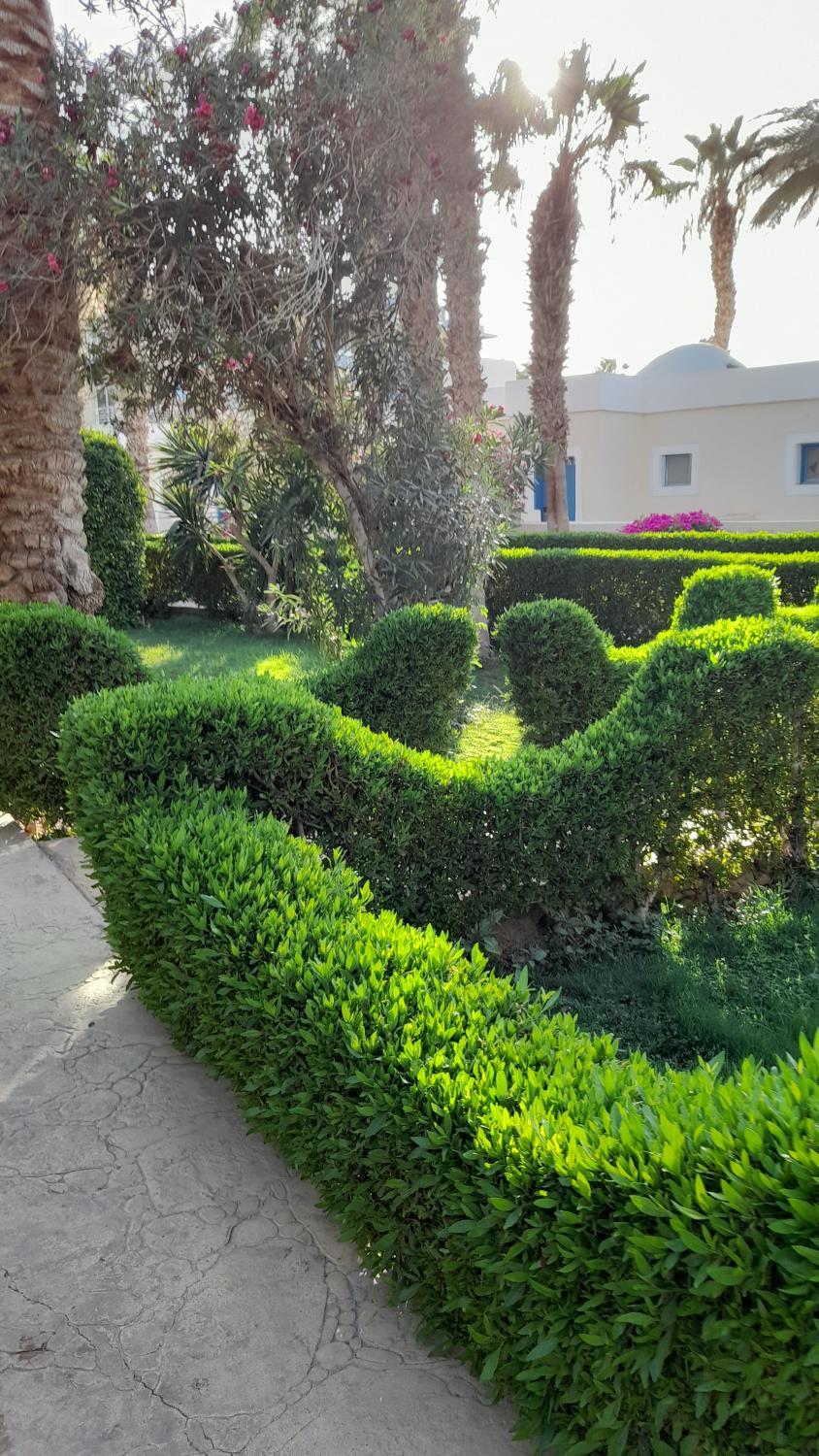 Garden 3, Mirage bay resort and aqua park Hurghada Egypt, Safaja