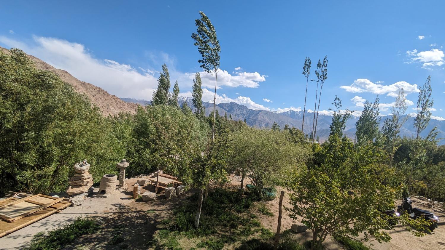 3, Mud House Phyang leh ladakh, Leh (Ladakh)