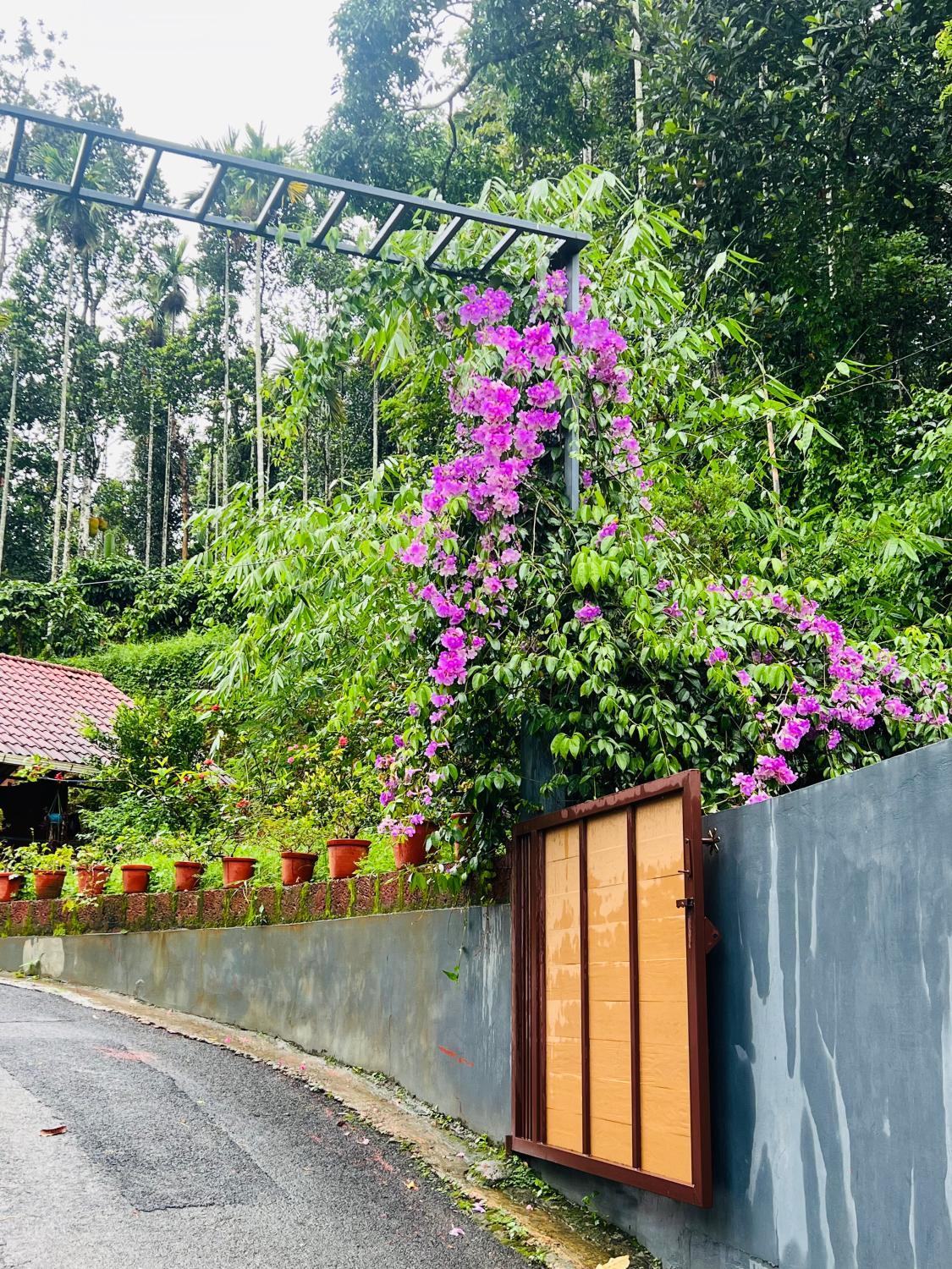 5, Swastha Royal Villas Wayanad, Wayanad