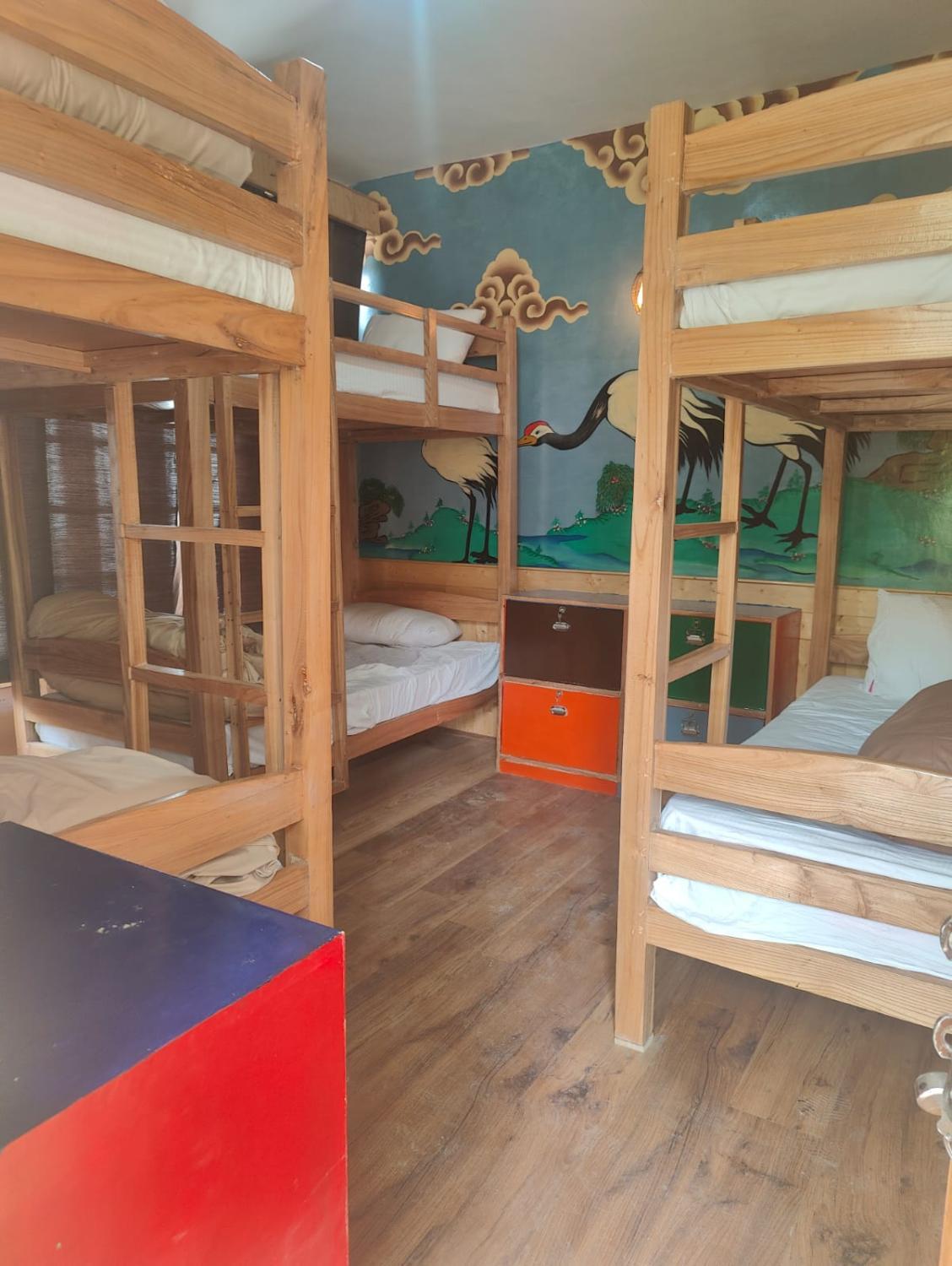 3, Have fun hostel, Leh
