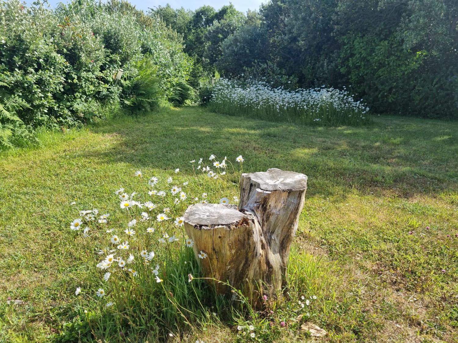 Garden 2, Ocean Breeze Cottage