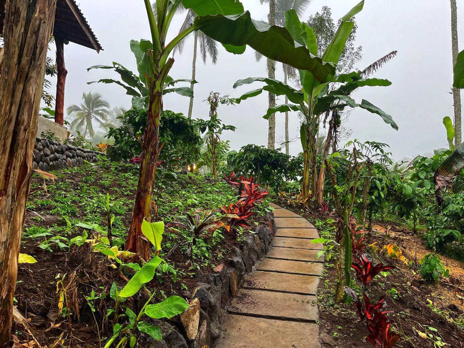 Garden 3, Pondok Di Kebun, Tabanan