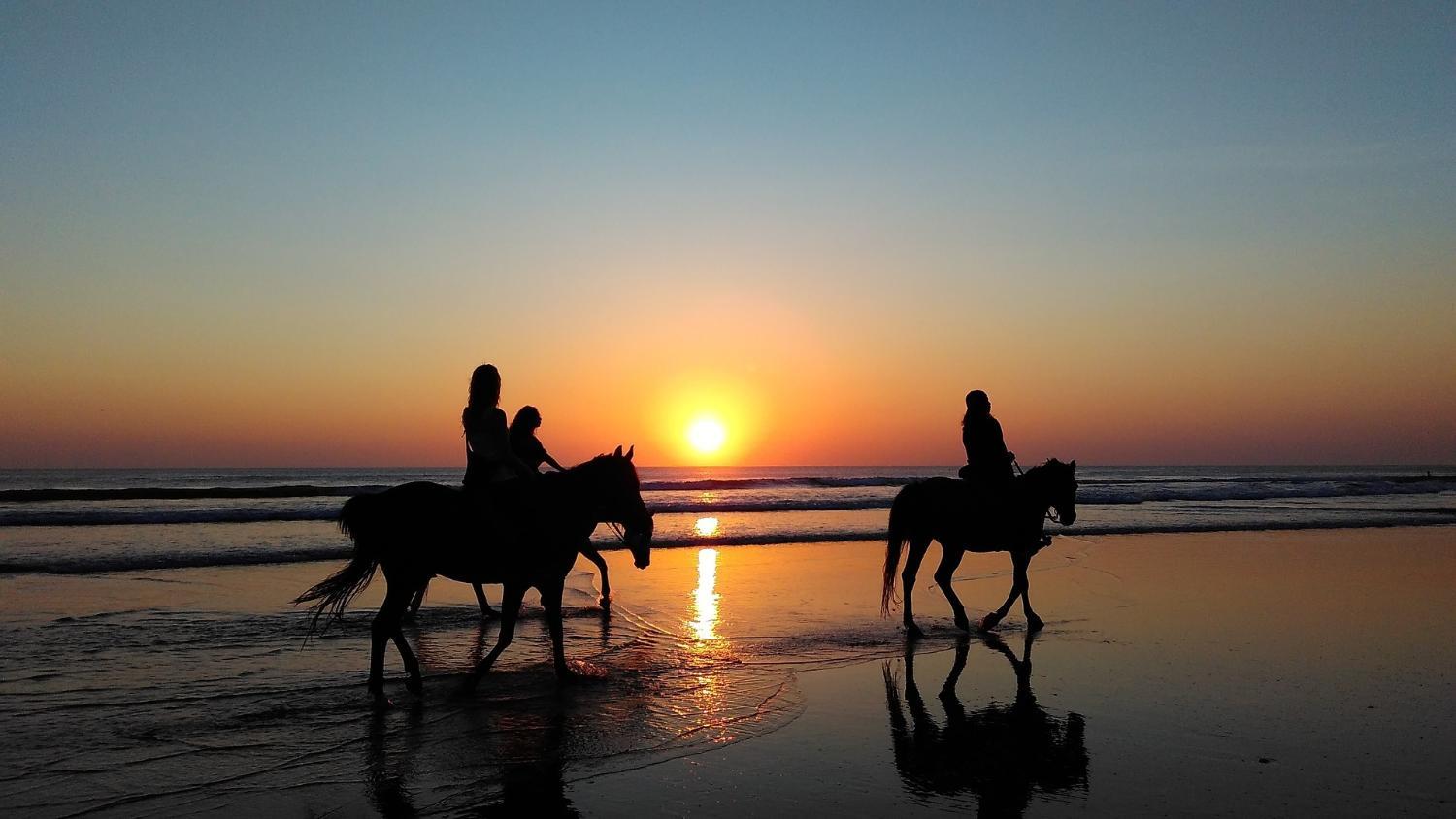 Horseback riding, Peristeria Villas Tavronitis Beach, Crete