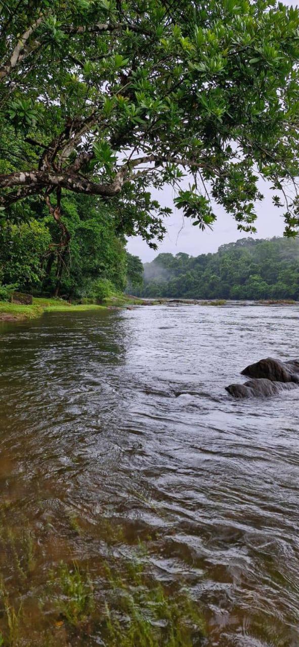 2, Falcon Riverview Resorts, Idukki