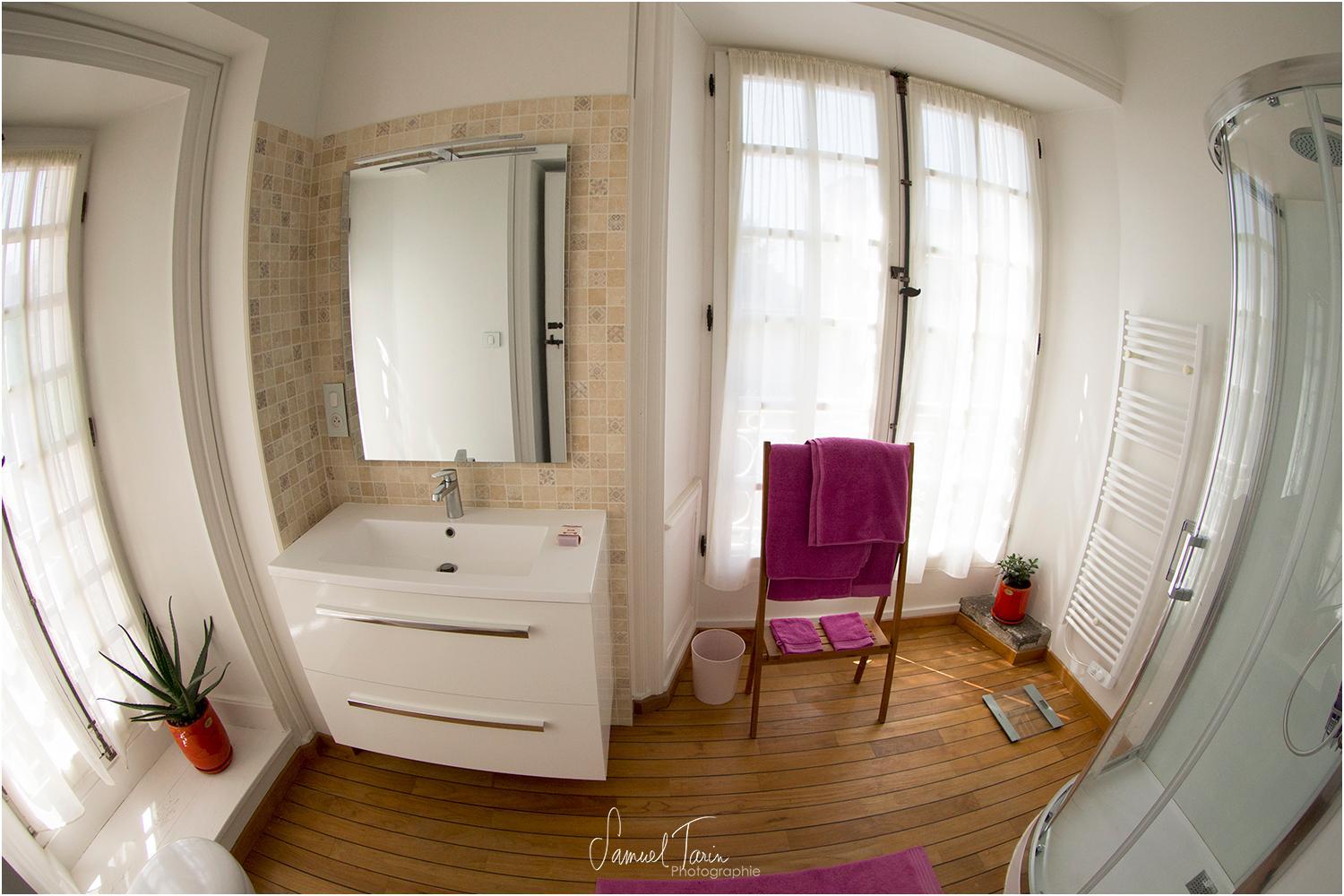 4, La Maison Guischard de la Menardiere dite La Maison Romane chambre hote, Manche
