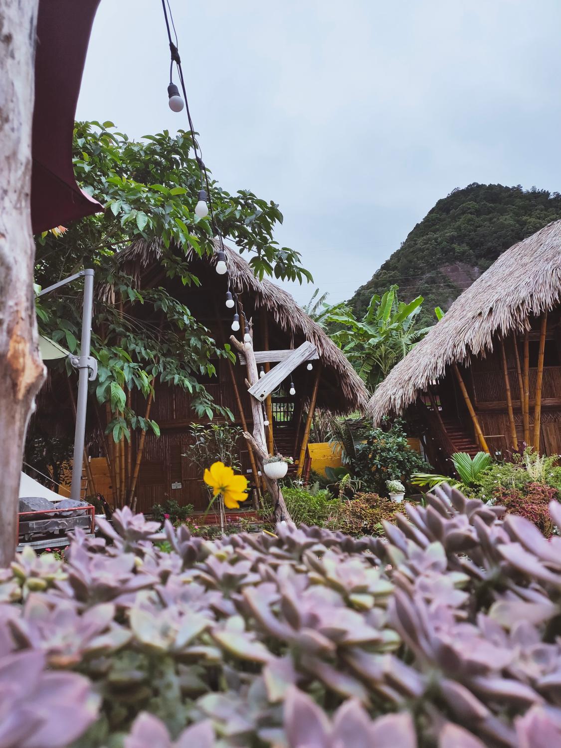 5, Bamboo Homestay, Bắc Yên