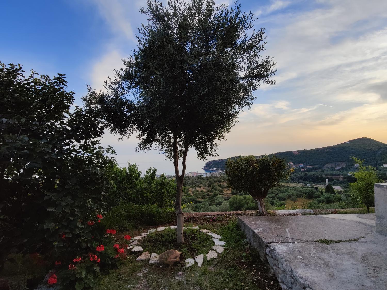 5, Lofos, Vlorës