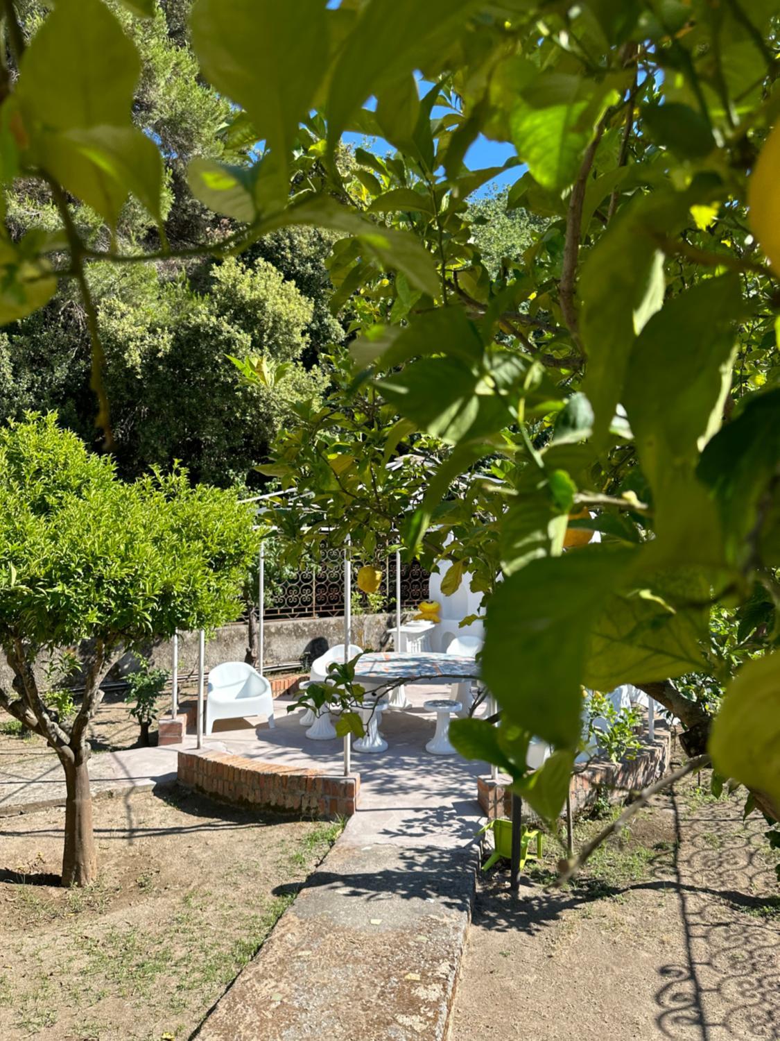 2, Villa Carruba, Napoli