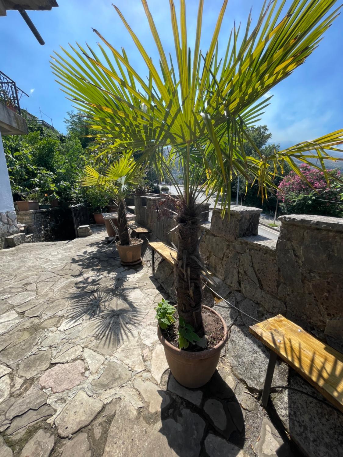 3, Great Wall Guest House, Gjirokastrës