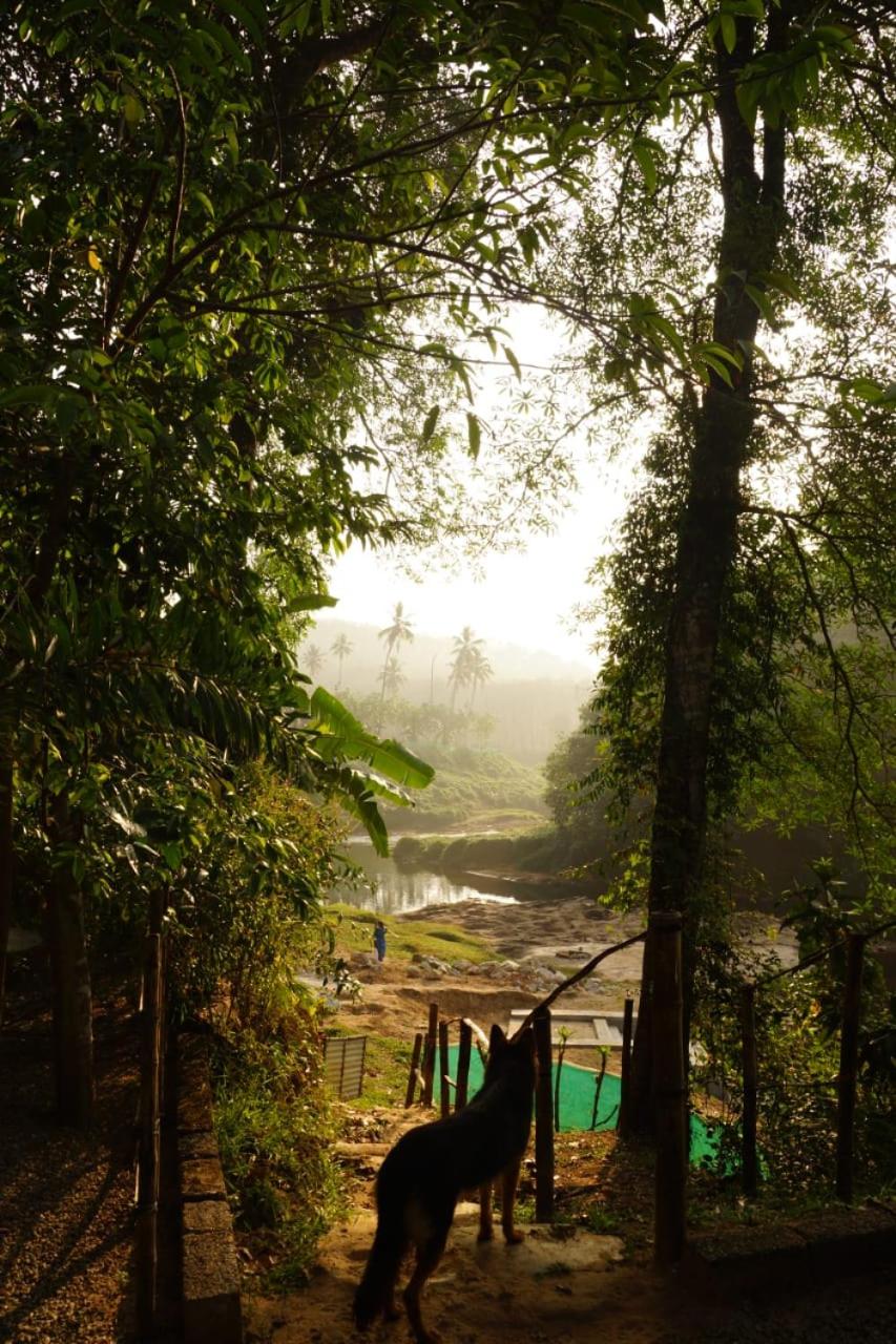 5, Maya forest lodge, Thiruvananthapuram
