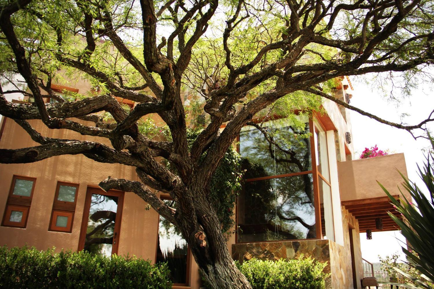 Garden 4, Casa Toscana - 5 Min From Downtown - Affordable Luxury, Allende