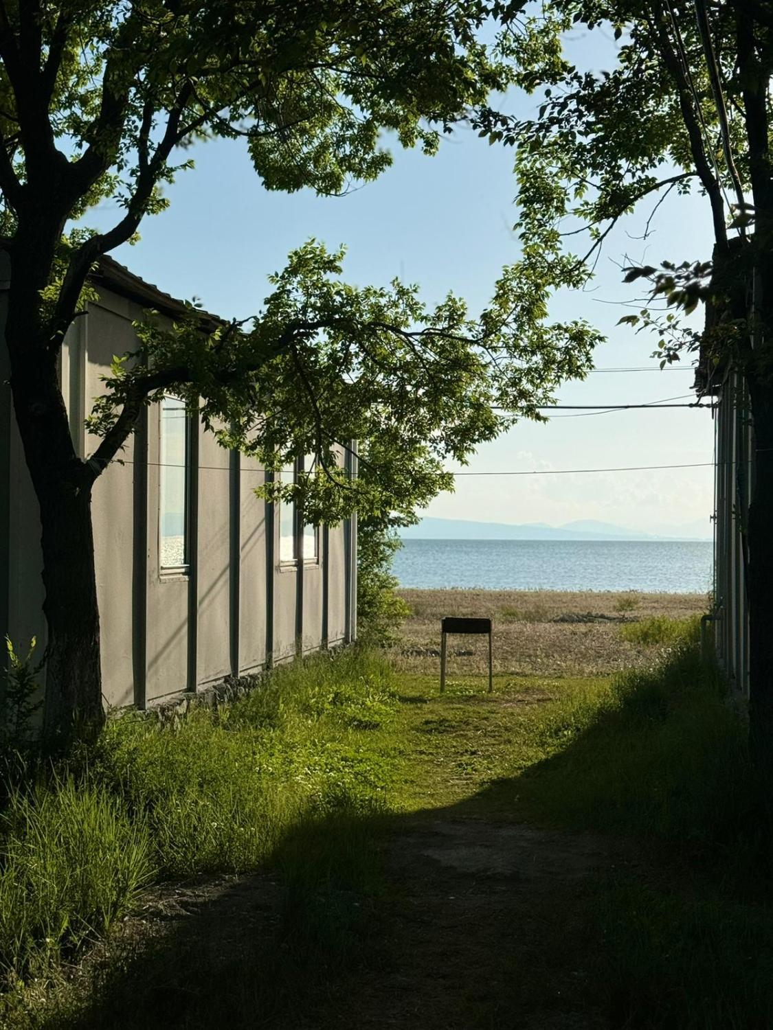 3, Dalina