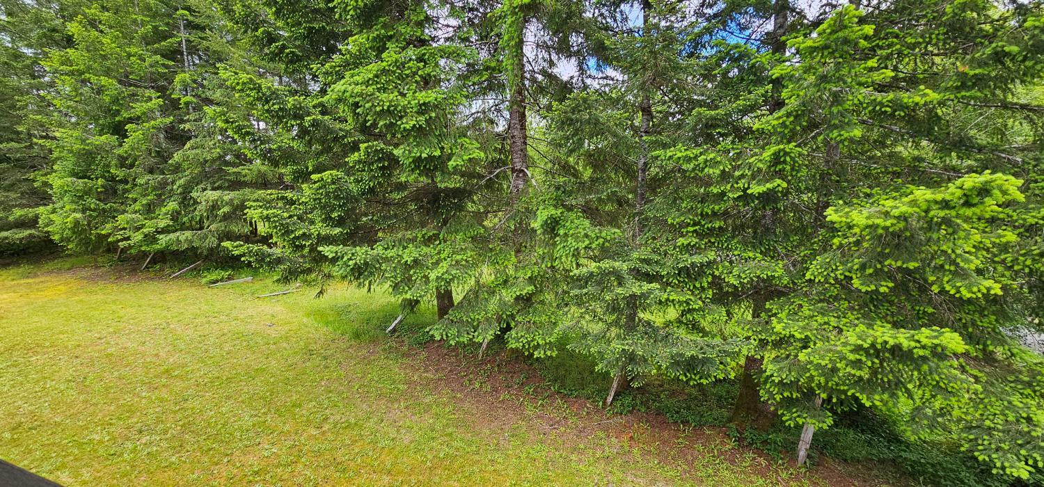 Garden 4, Olympic Suites Inn, Clallam