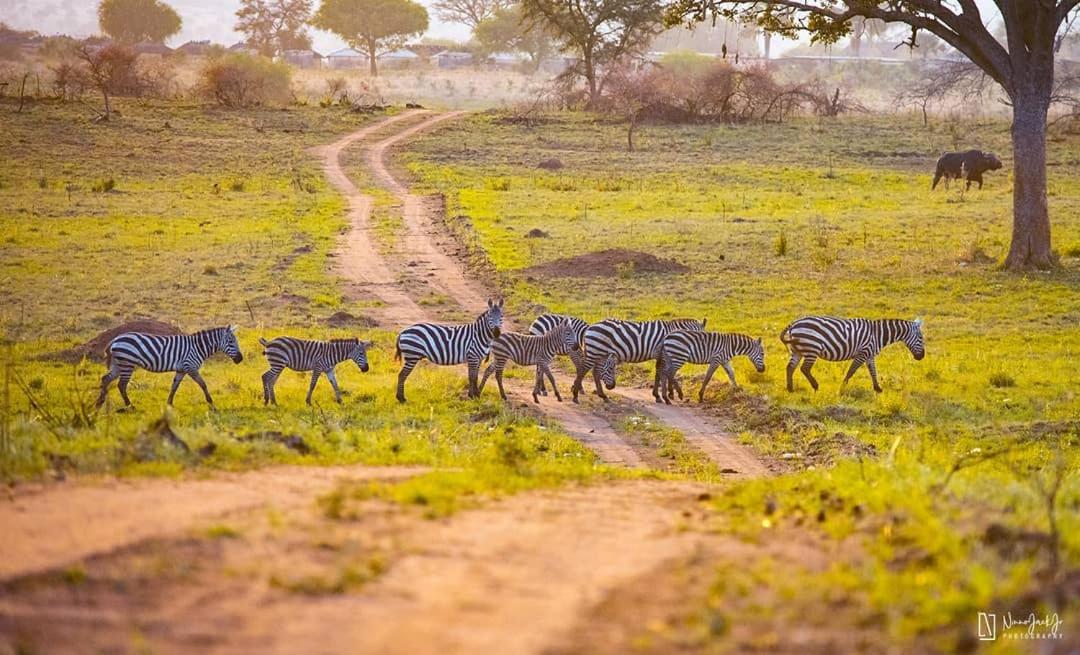 Attractions 4, Katurum Lodge Kidepo, Dodoth