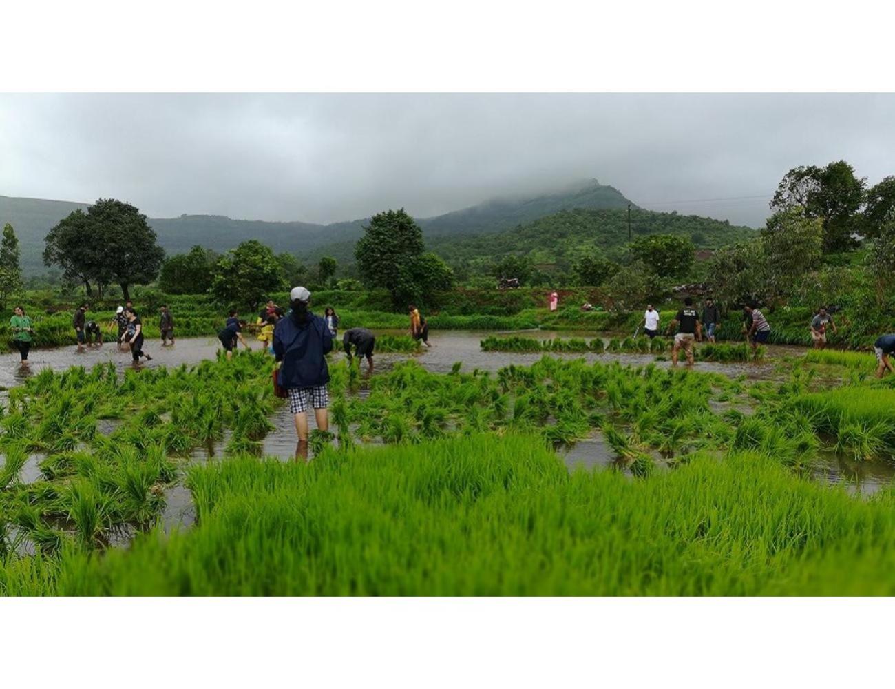 4, Anjanvel Agro Tourism, Lonavala, Pune