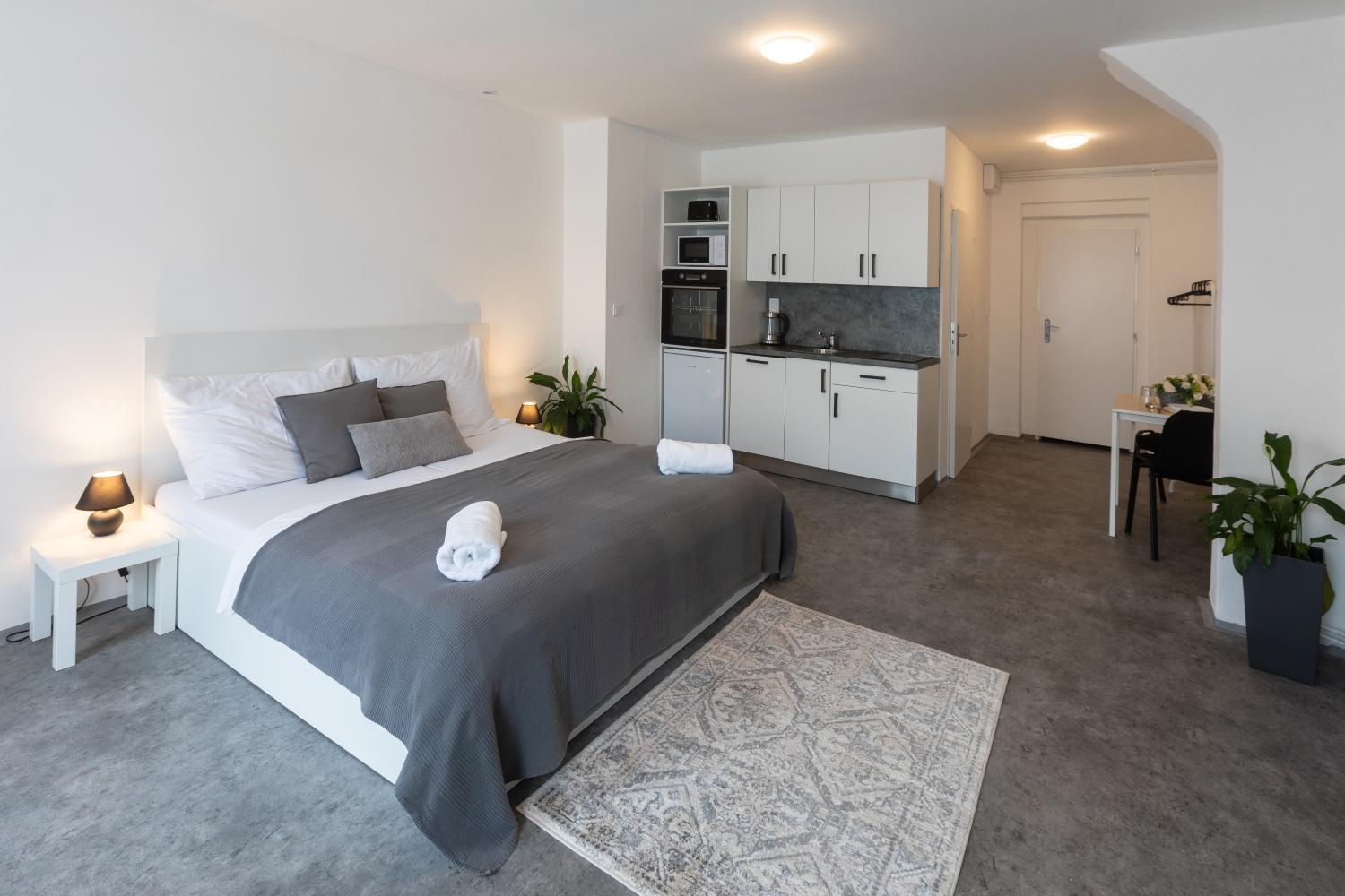 Guestroom, Apartmany Otakarova, České Budějovice