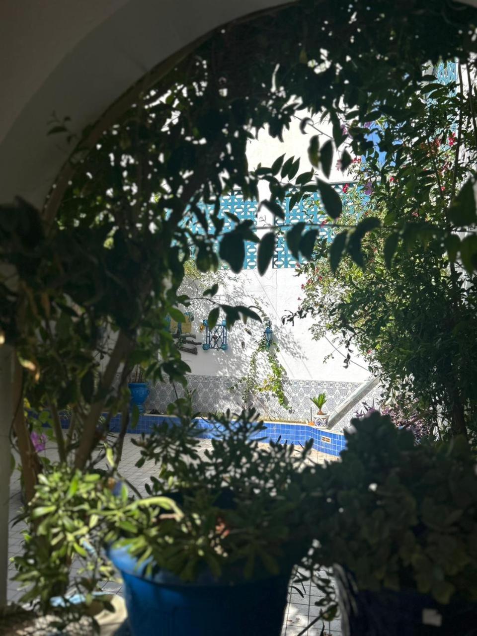 5, Maison l'hirondelle chatt Mariem, Hammam Sousse