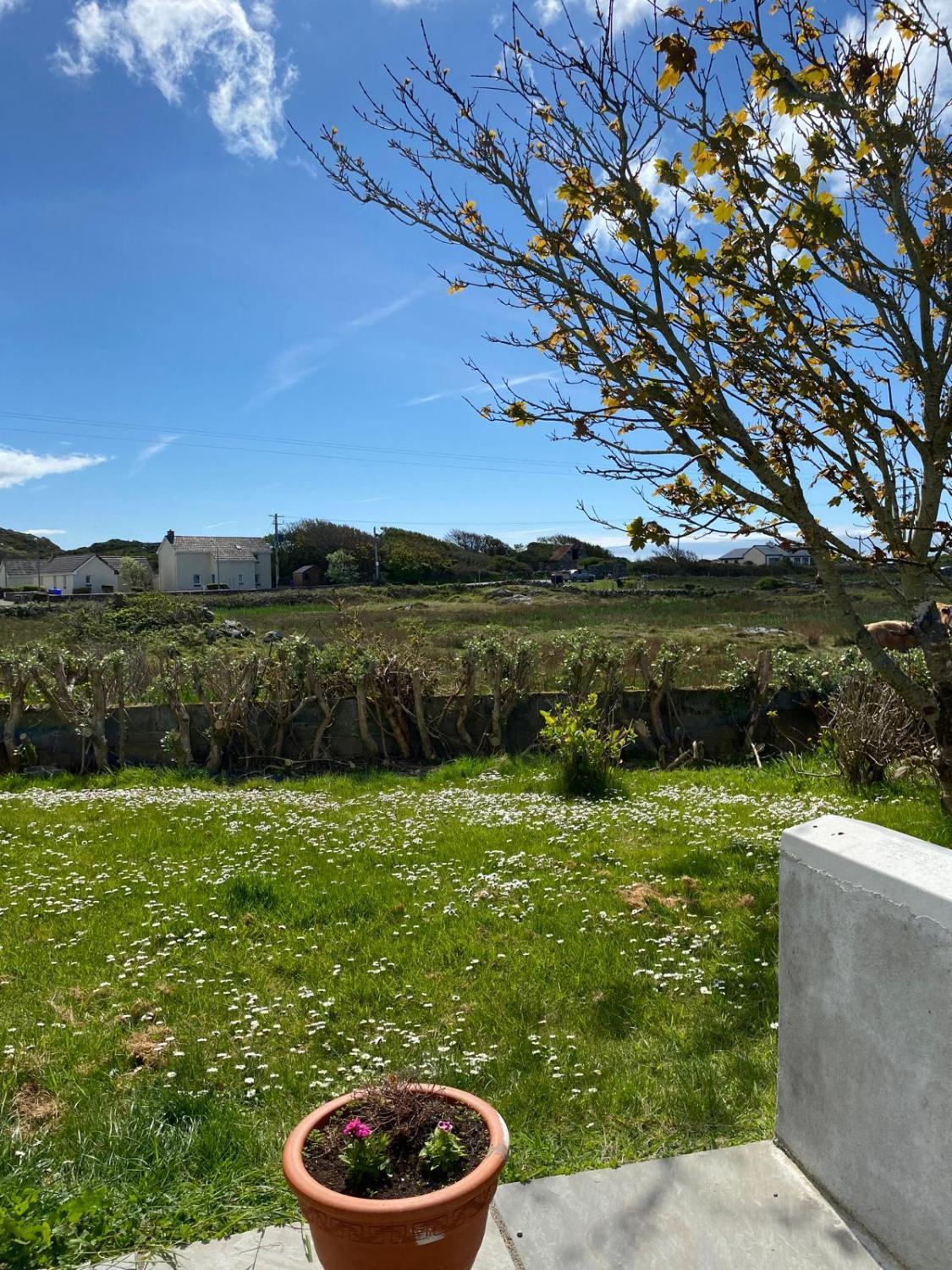 Garden, Doonhill Lodge