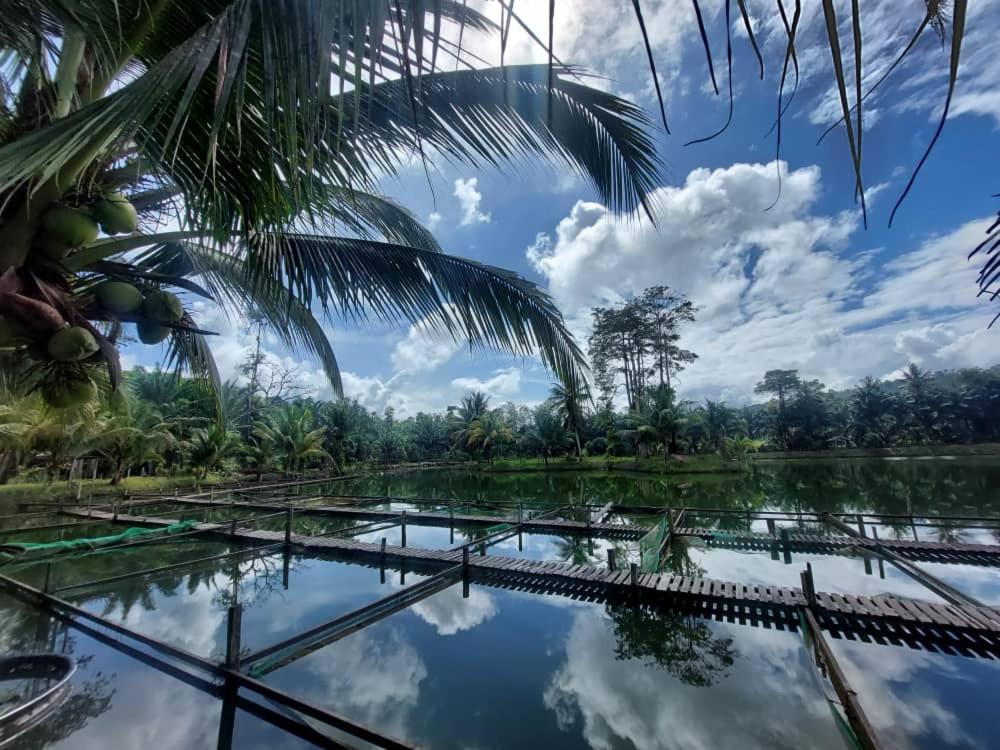 2, Villa Kolam Legenda, Ranau