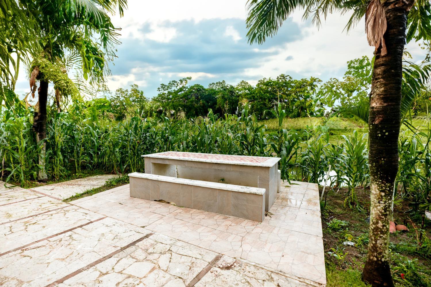3, Villa Dona luz, Ramón Santana
