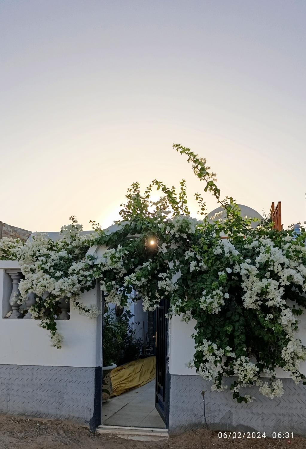 5, Bonny house, Sant Katrin
