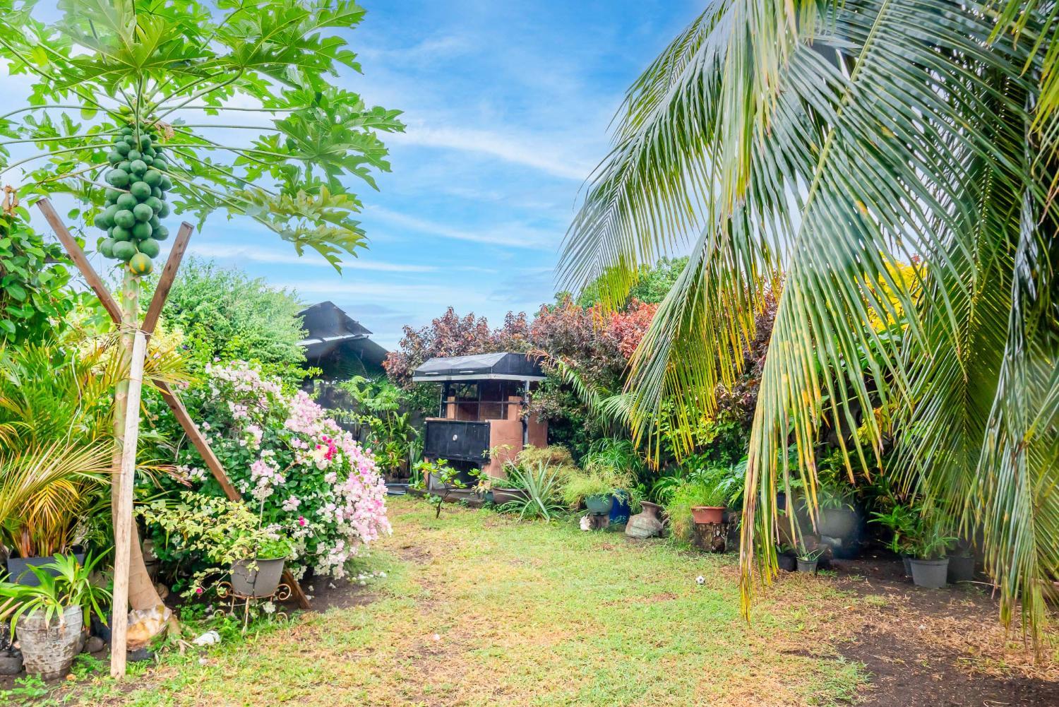 Garden 3, Villa Sunset Manarii in Paea Pool & Beach