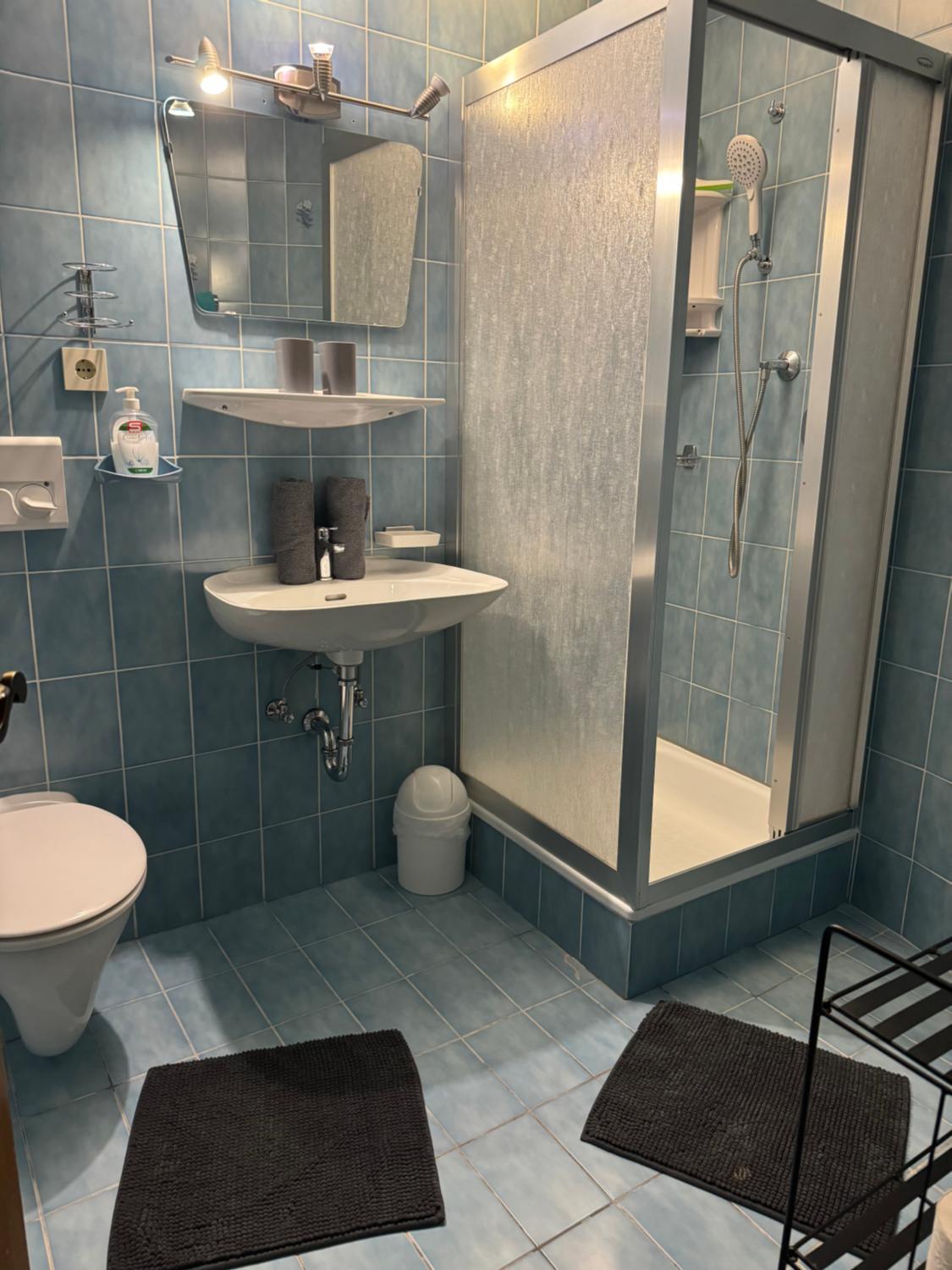 Bathroom, Doppelzimmer Larchenhof, Reutte