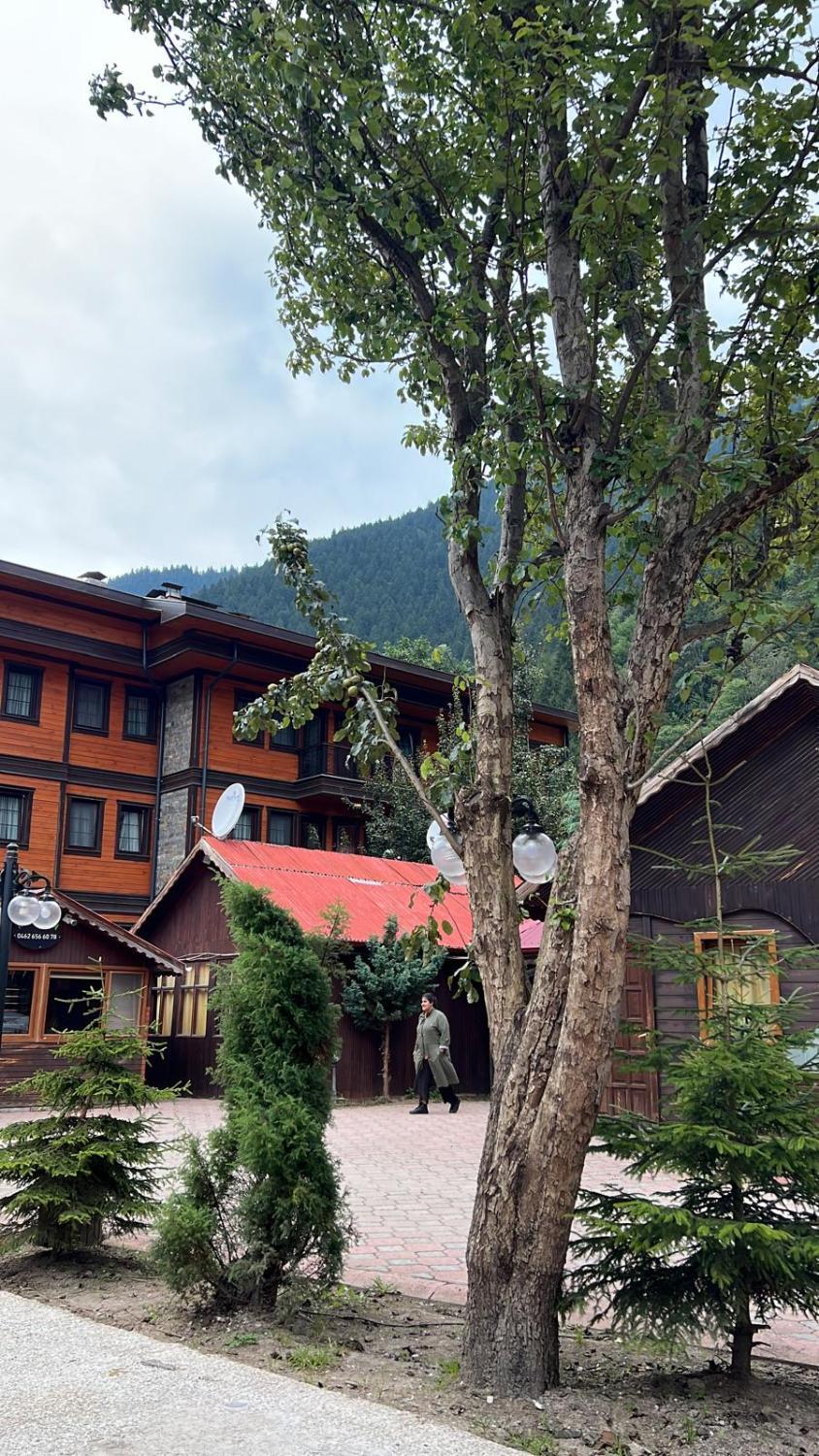 2, Keyf ı Ala, Çaykara