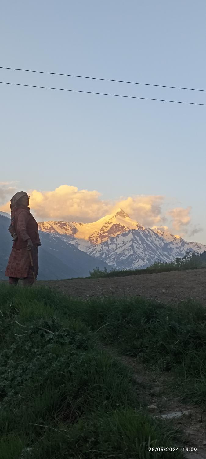 4, Yangla eco lodge and homestay, Lahul & Spiti