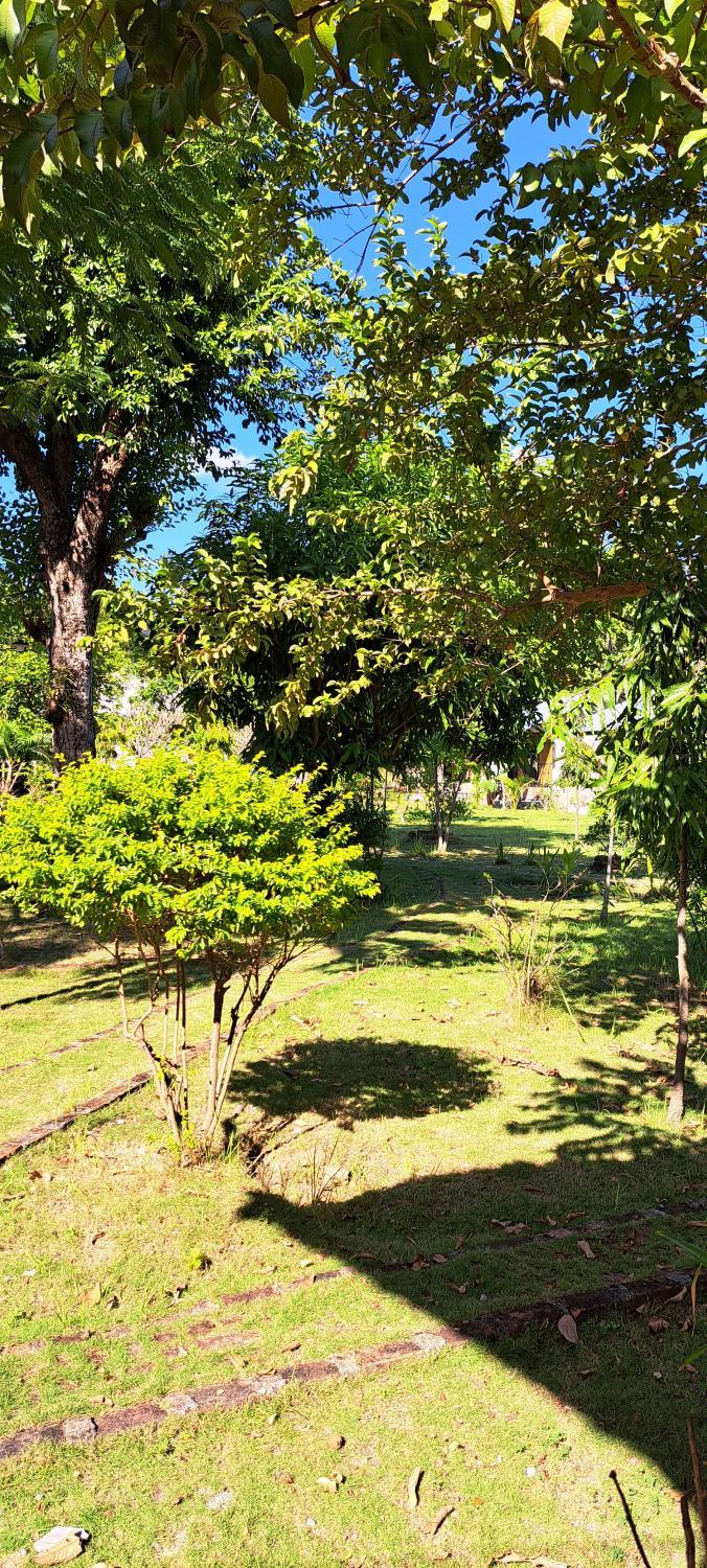 4, Nirvana bungalow's, Ngada