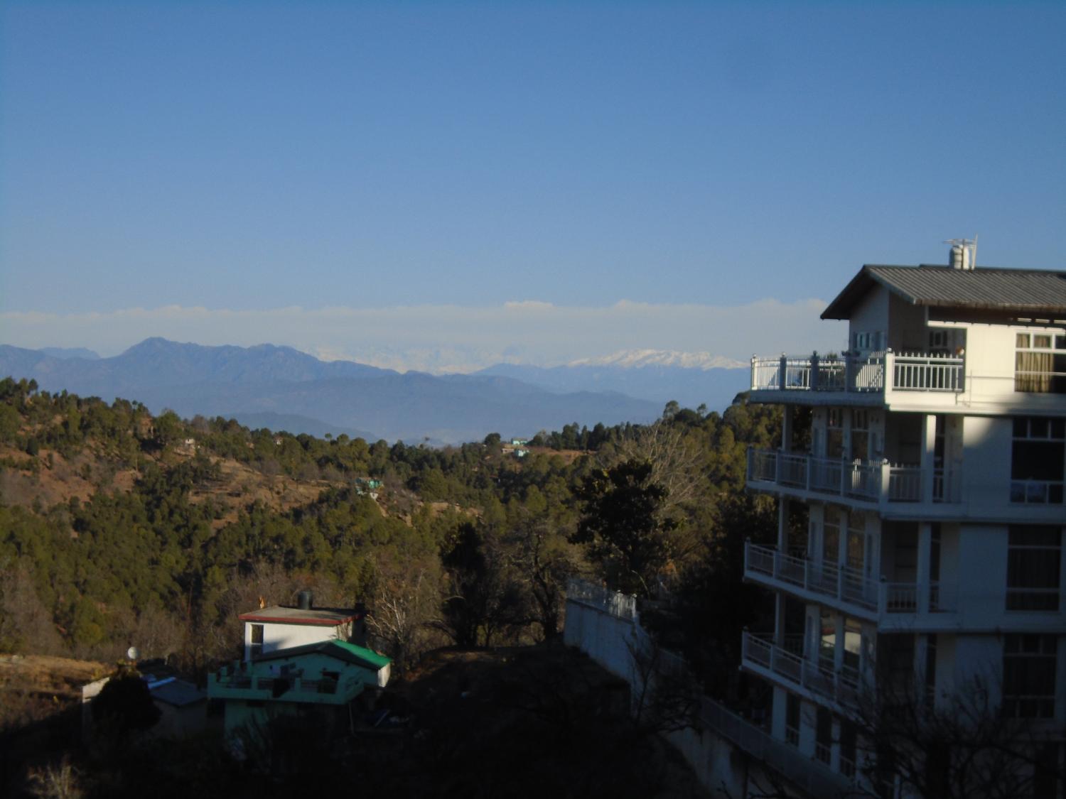 View 2, Pine pioneer, Nainital